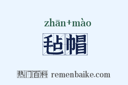 毡帽是什么意思的图片